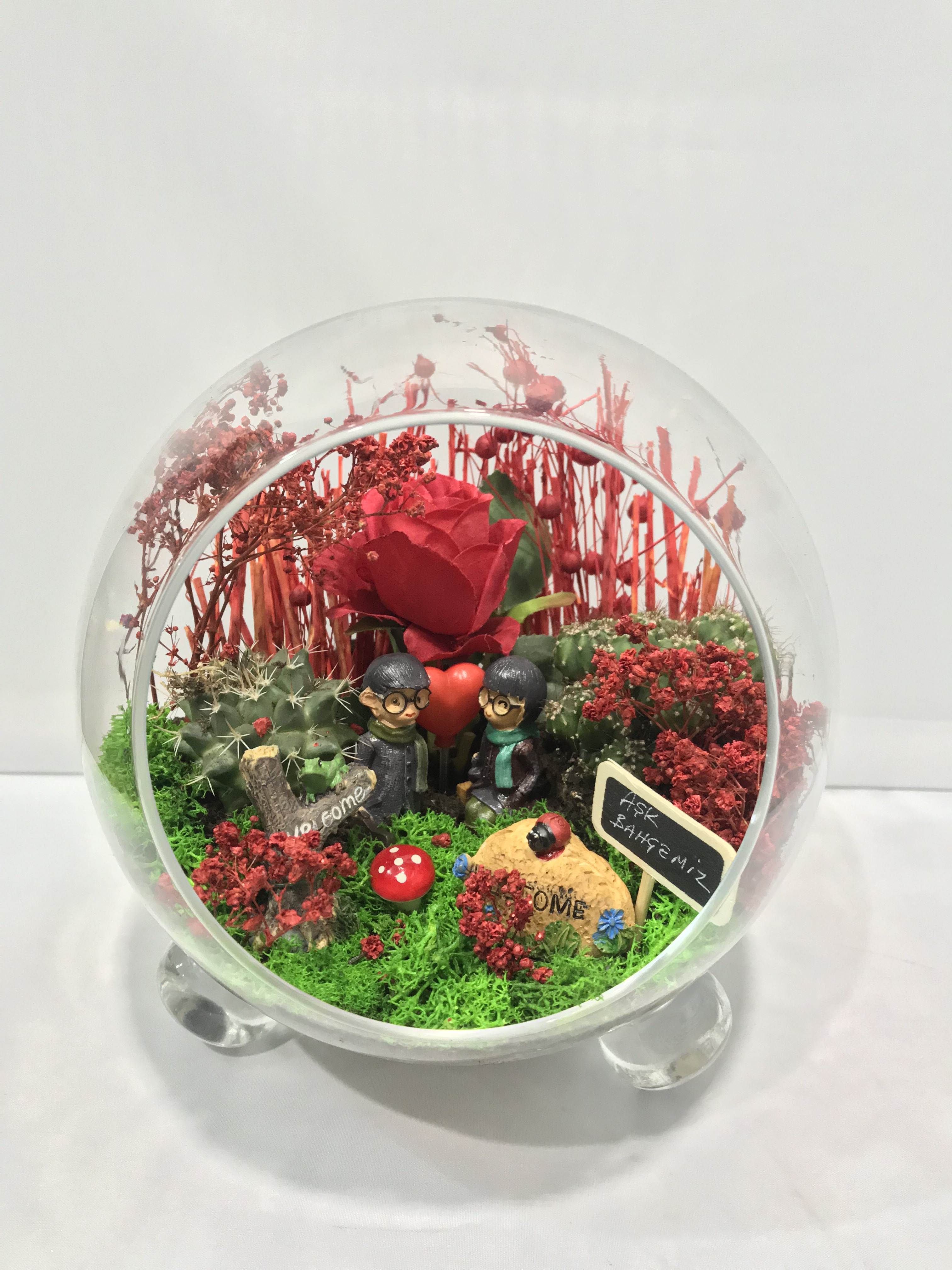 TERRARIUM - KAVACIK EK BEYKOZ EK