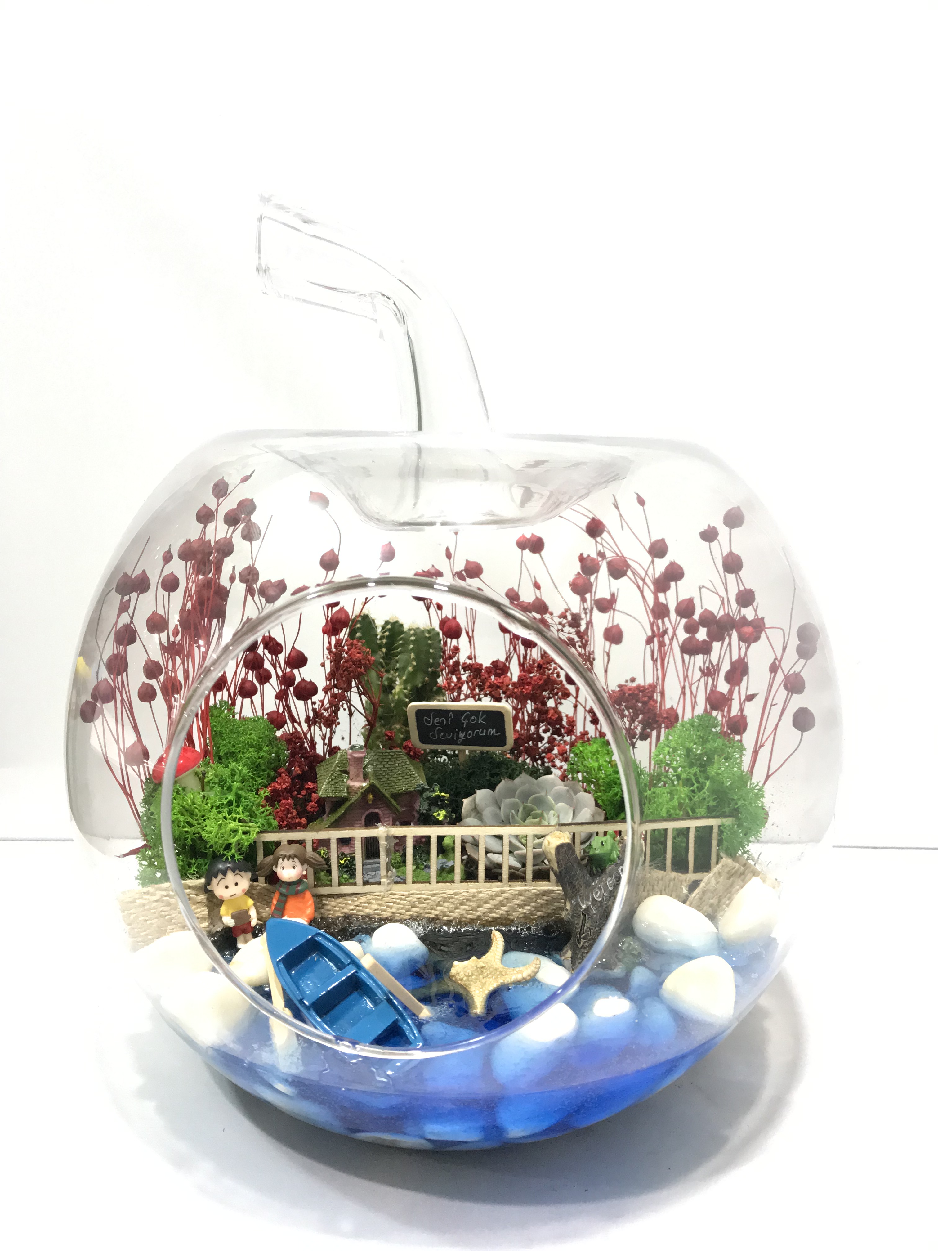 TERRARIUM - KAVACIK EK BEYKOZ EK