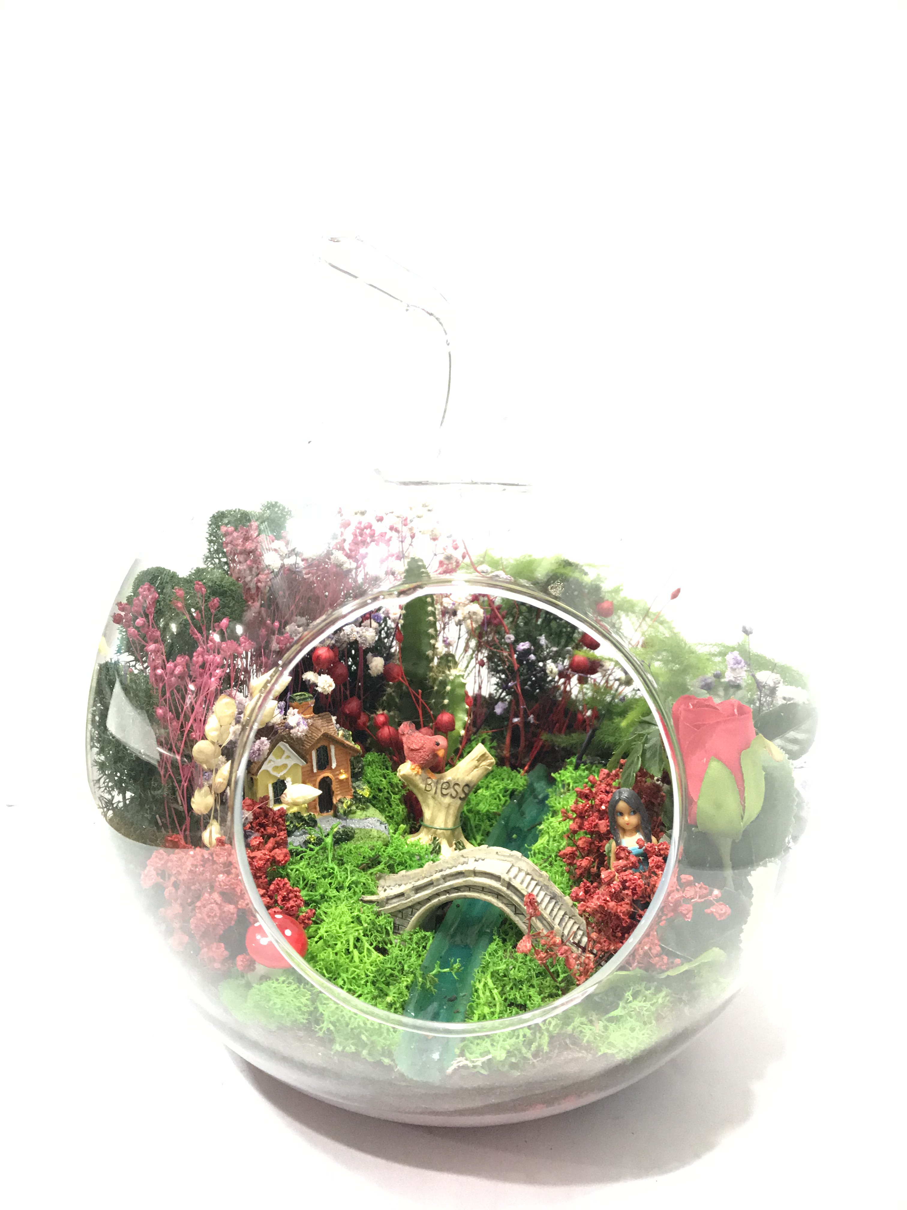 TERRARIUM - KAVACIK EK BEYKOZ EK
