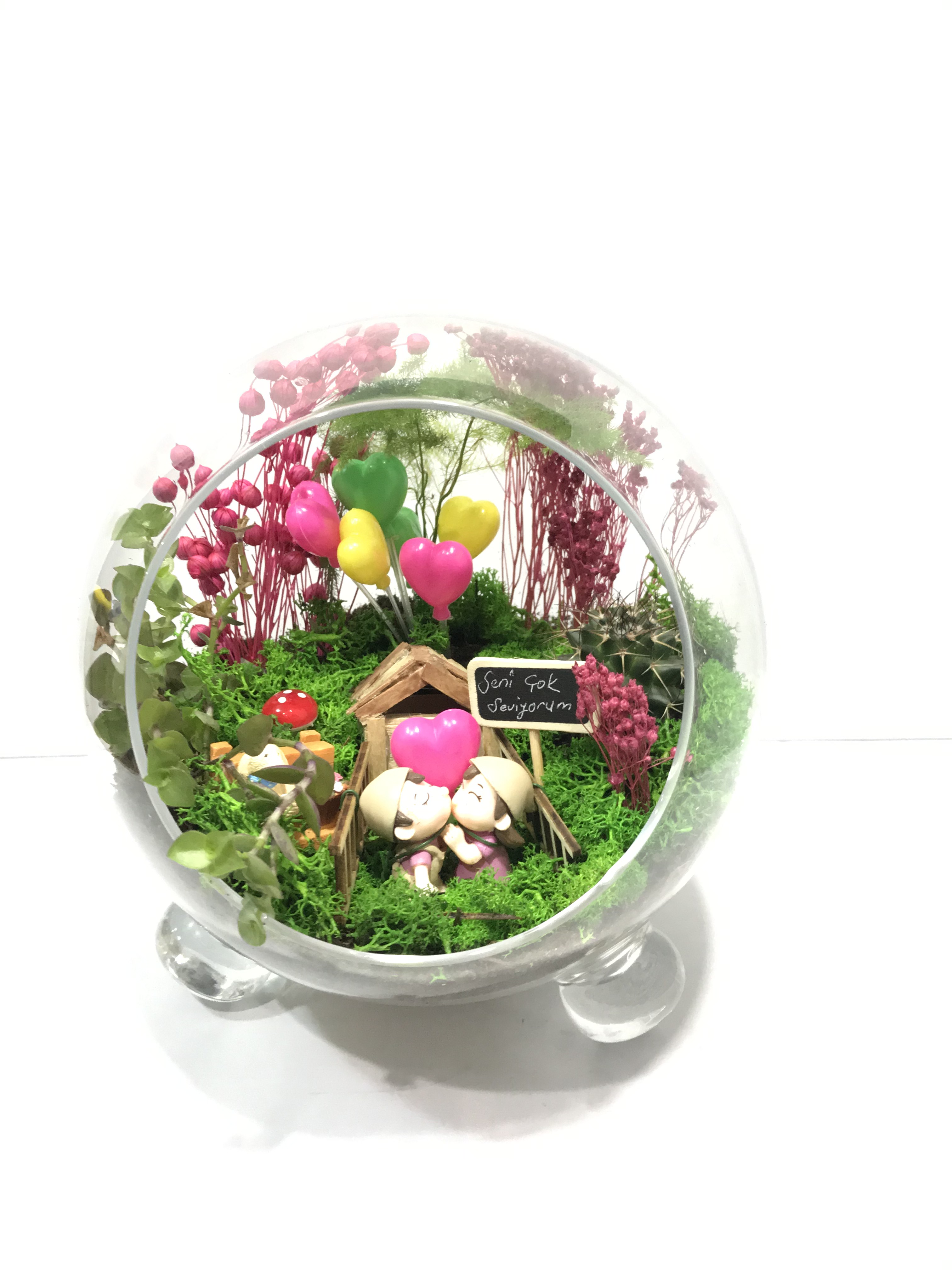 TERRARIUM - KAVACIK EK BEYKOZ EK